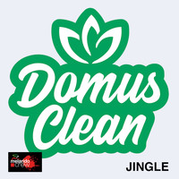 Luca Sepe - Domus Clean Jingle