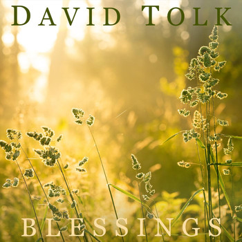 David Tolk - Blessings (feat. Steven Sharp Nelson)