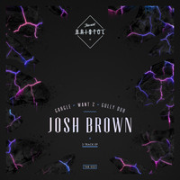 Josh Brown - Gargle / Want 2 / Gully Dub