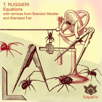 T. Ruggieri - Equations
