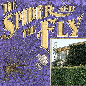 Patti Page - The Spider and the Fly