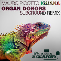 Mauro Picotto - Iguana (Organ Donors Subground Rework)