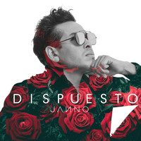 Janno - DISPUESTO