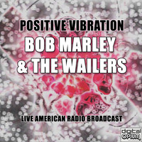 Bob Marley & The Wailers - Positive Vibration (Live)