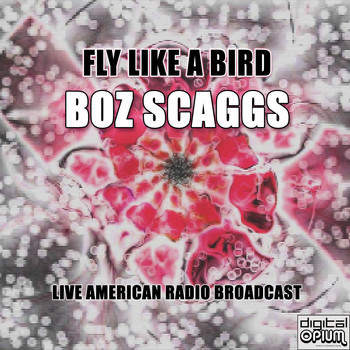 Boz Scaggs - Fly Like A Bird (Live)