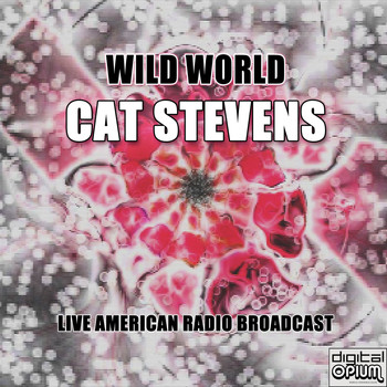 Cat Stevens - Wild World (Live)