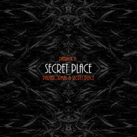 Patrick P. - Secret Place