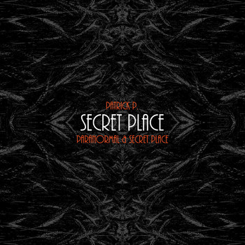 Patrick P. - Secret Place