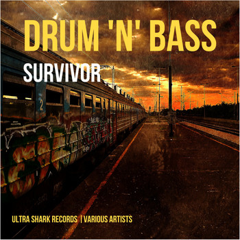 Various Artists - Drum and Bass Survivor, Vol. 1