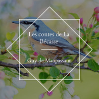 Bernard - Les contes de La Bécasse