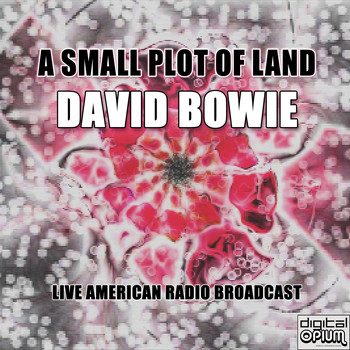 David Bowie - A Small Plot Of Land (Live)