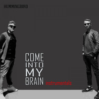 Hummingbird - Come into My Brain (Instrumentals)