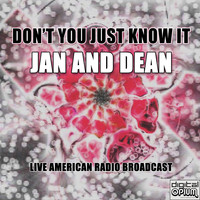 Jan and Dean - Don't You Just Know It (Live)