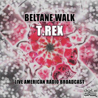 T.Rex - Beltane Walk (Live)