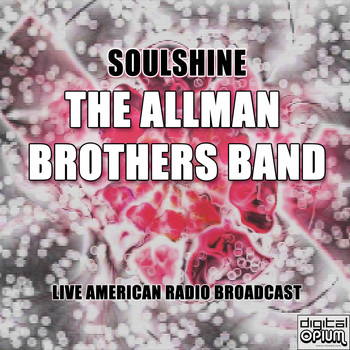 The Allman Brothers Band - Soulshine (Live)