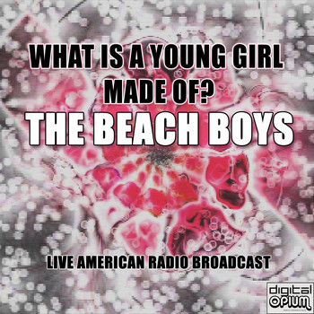 The Beach Boys - What Is A Young Girl Made Of? (Live)
