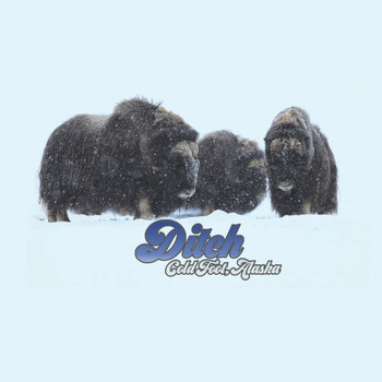 DiTCH - Coldfoot, Alaska