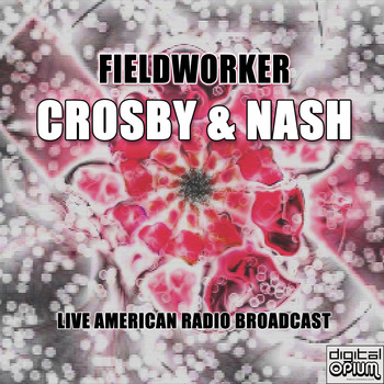 Crosby & Nash - Fieldworker (Live)