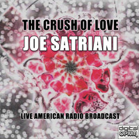 Joe Satriani - The Crush of Love (Live)