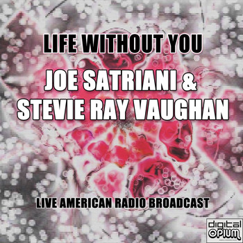 Joe Satriani and Stevie Ray Vaughan - Life Without You (Live)