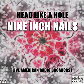 Nine Inch Nails - Head Like A Hole (Live)