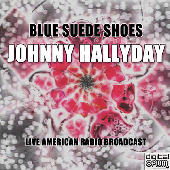 Johnny Hallyday - Blue Suede Shoes (Live)