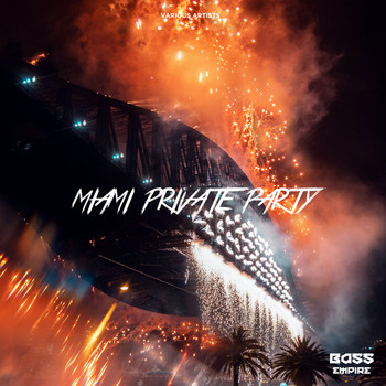 Various Artists - Miami Private Party