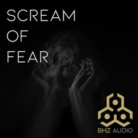 BHZ AUDIO - Scream of Fear