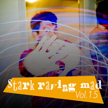 Various Artists - Stark Raving Mad, Vol. 15 (Explicit)