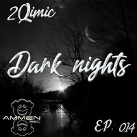 2Qimic - Dark Night