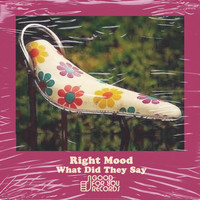 Right Mood - What Did They Say