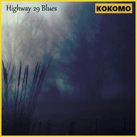 Kokomo - Highway 29 Blues