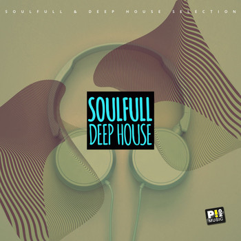 Various Artists - Soulfull & Deep House (Selection 003)