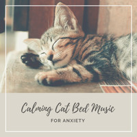 Anxiety Relief - Calming Cat Bed Music for Anxiety