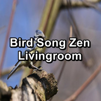 Calming Bird Sounds - Bird Song Zen Livingroom