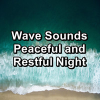 Ocean Waves Sleep Aid - Wave Sounds Peaceful and Restful Night