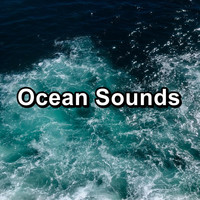 Sea Sounds - Ocean Sounds