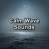 Waves - Calm Wave Sounds
