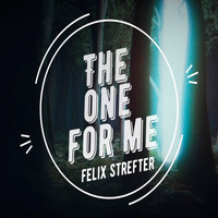 Felix Strefter - The One For Me