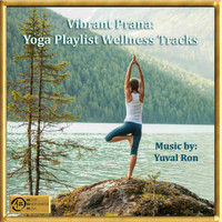 Yuval Ron - Vibrant Prana: Yoga Playlist Wellness Tracks
