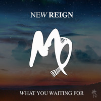 New Reign - What You Waiting For (Charlie Lane Remix)