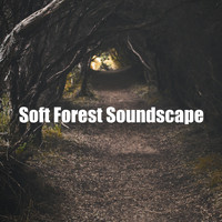 Nature Sounds XLE Library - Soft Forest Soundscape