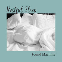Sleep Music Piano Relaxation Masters - Restful Sleep Sound Machine