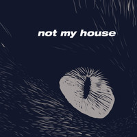LV & Joshua Idehen - Not My House (Explicit)