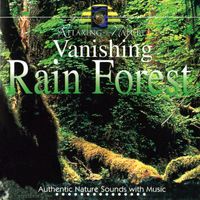 Steve Quinzi - Vanishing Rain Forest
