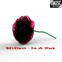 MiDust - In A Pub