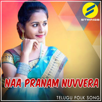 Veena - Naa Pranam Nuvvera
