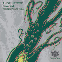 Angel Stoxx - Reversed