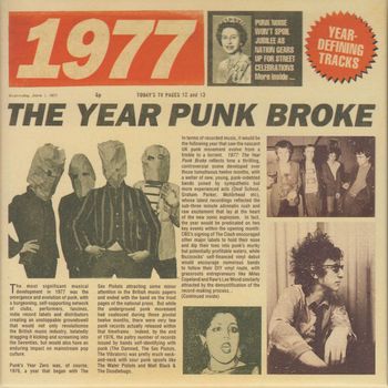 Various Artists - 1977: The Year Punk Broke