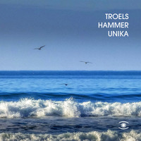 Troels Hammer - Unika